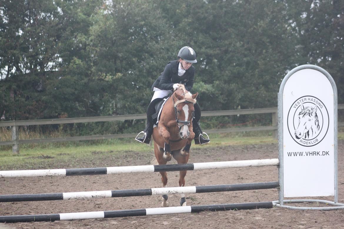 Vester Hassing rideklub d. 11/9 2010 billede 10