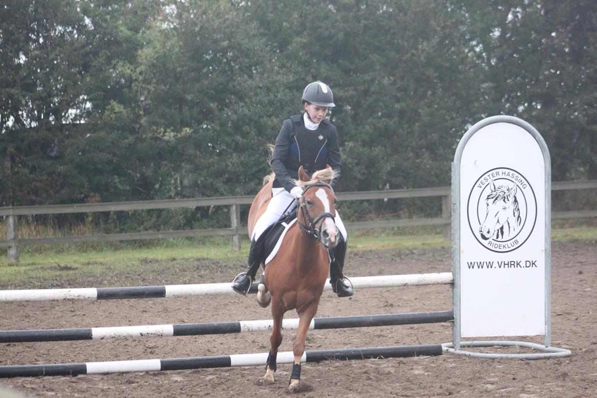 Vester Hassing rideklub d. 11/9 2010 billede 11