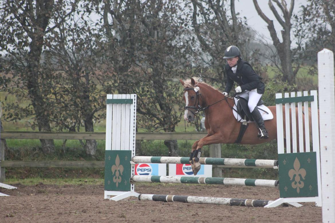 Vester Hassing rideklub d. 11/9 2010 billede 13