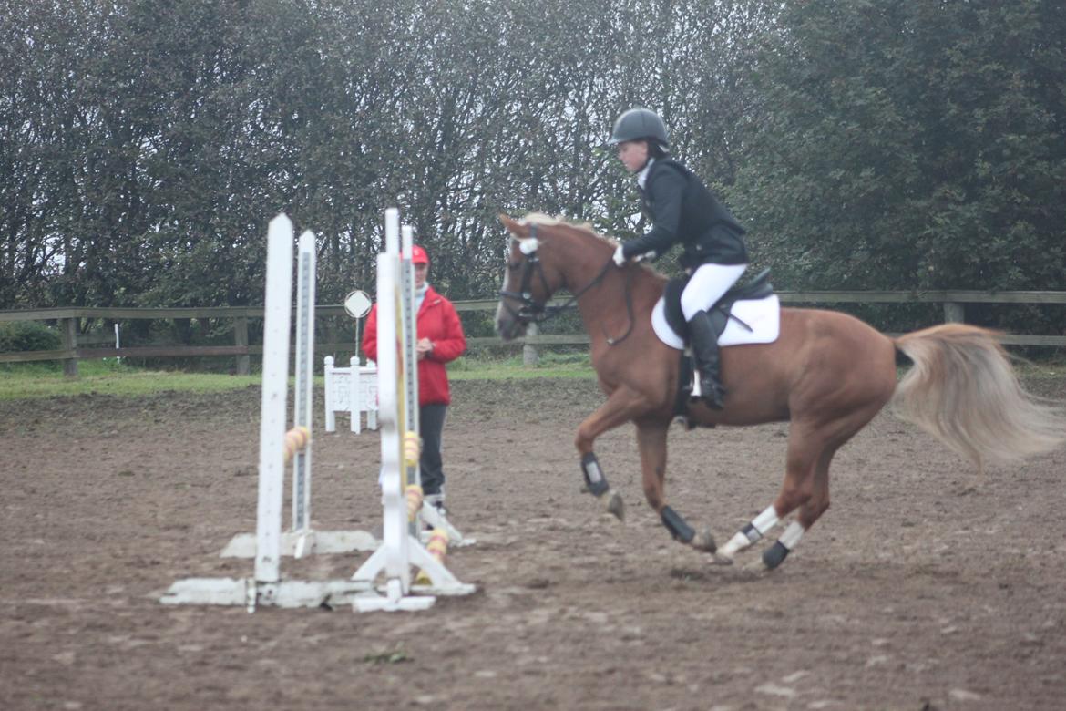 Vester Hassing rideklub d. 11/9 2010 billede 14