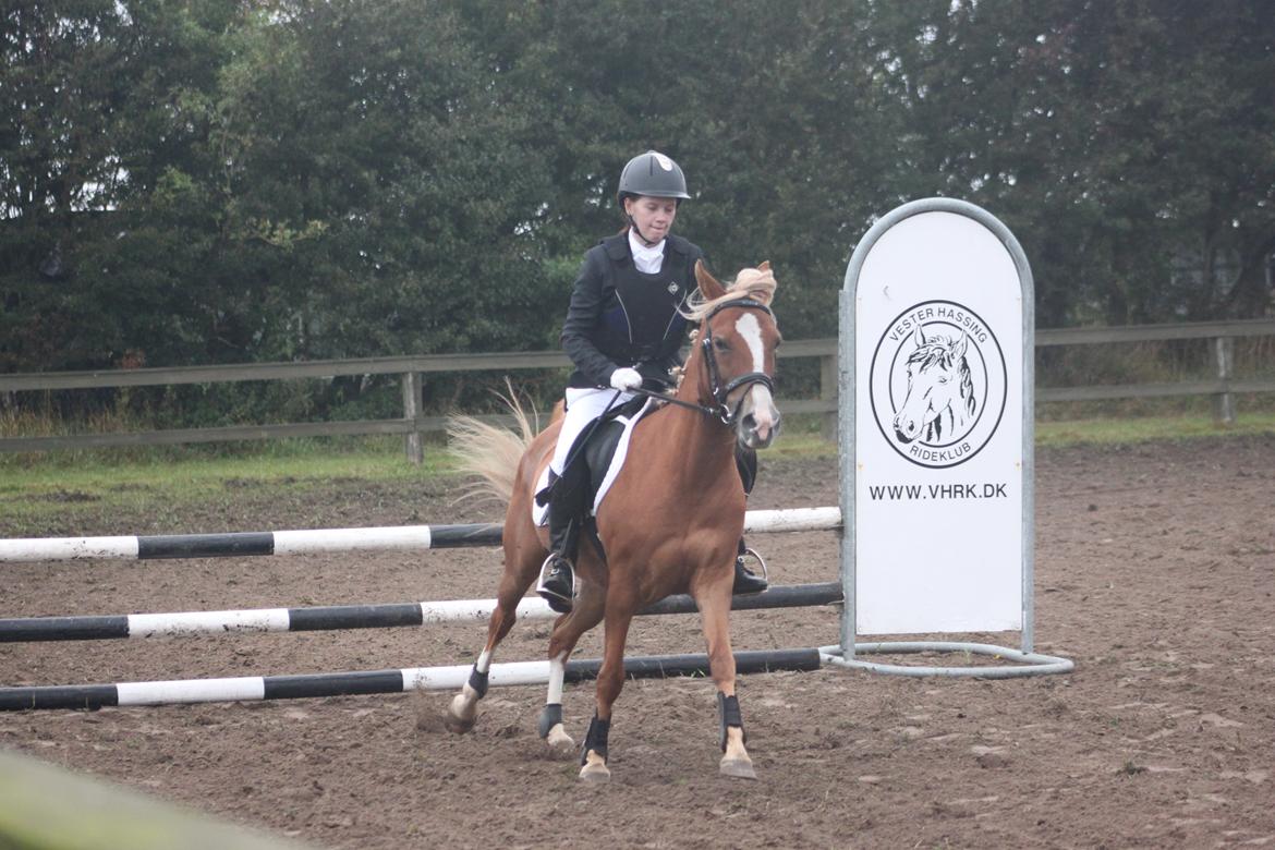Vester Hassing rideklub d. 11/9 2010 billede 12