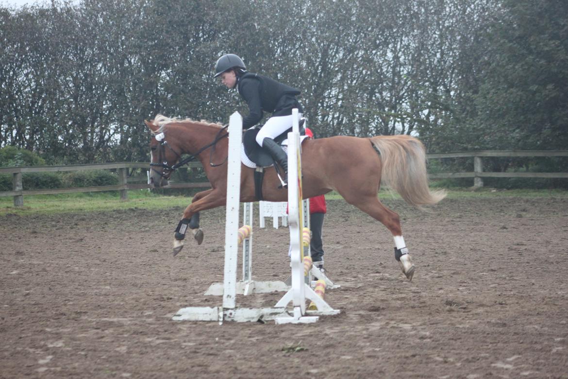 Vester Hassing rideklub d. 11/9 2010 billede 15