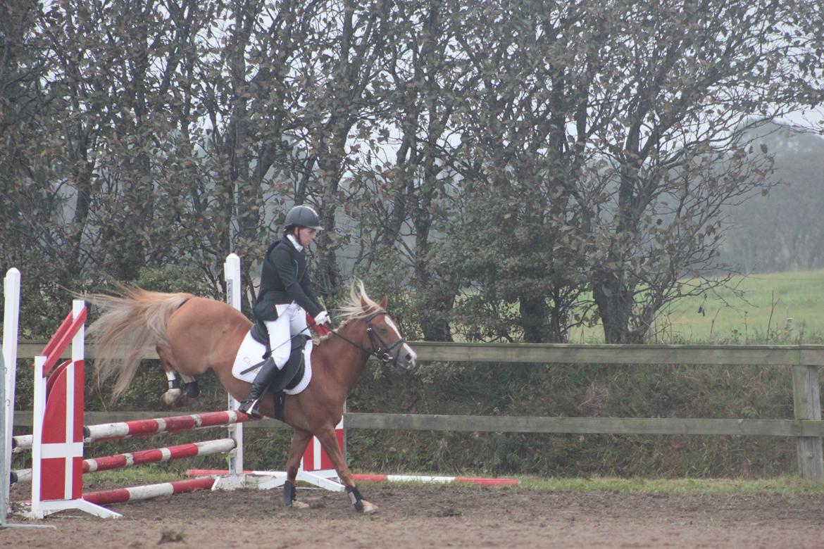 Vester Hassing rideklub d. 11/9 2010 billede 17