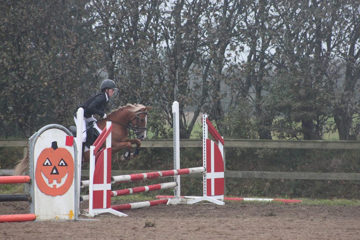 Vester Hassing rideklub d. 11/9 2010 billede 16