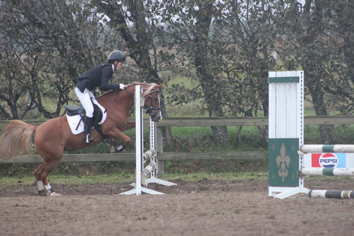 Vester Hassing rideklub d. 11/9 2010 billede 18