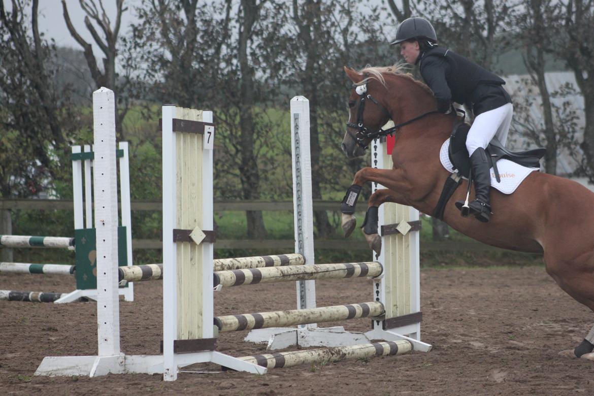 Vester Hassing rideklub d. 11/9 2010 billede 19