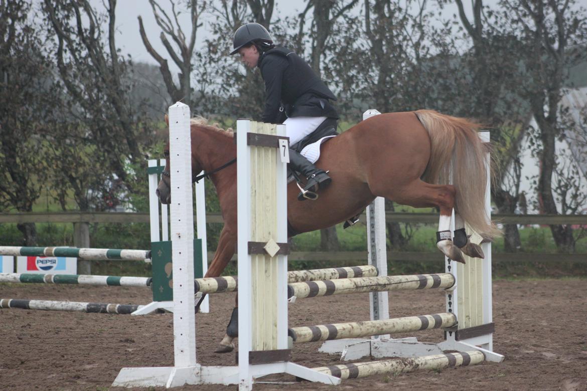 Vester Hassing rideklub d. 11/9 2010 billede 20