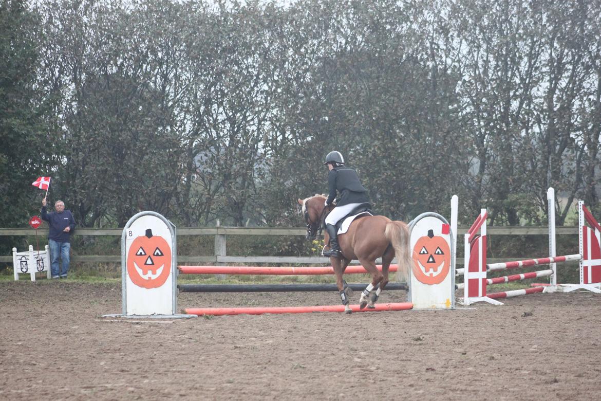 Vester Hassing rideklub d. 11/9 2010 billede 21