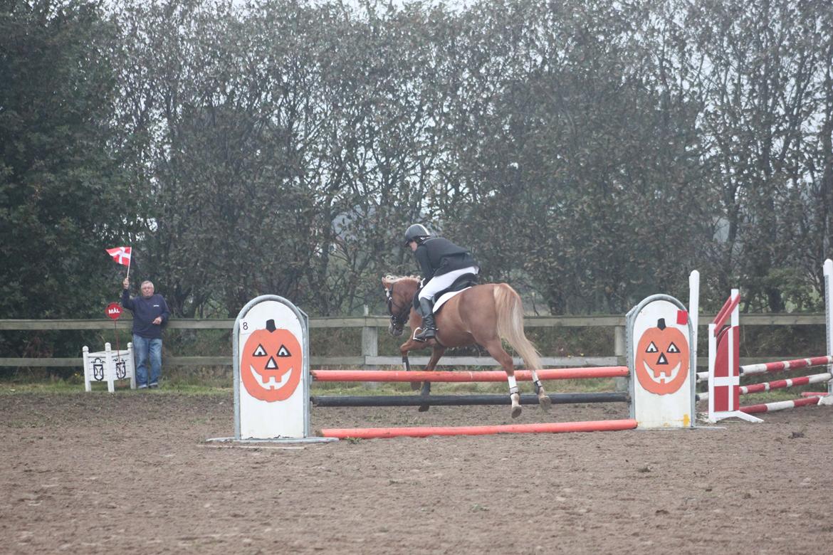 Vester Hassing rideklub d. 11/9 2010 billede 22