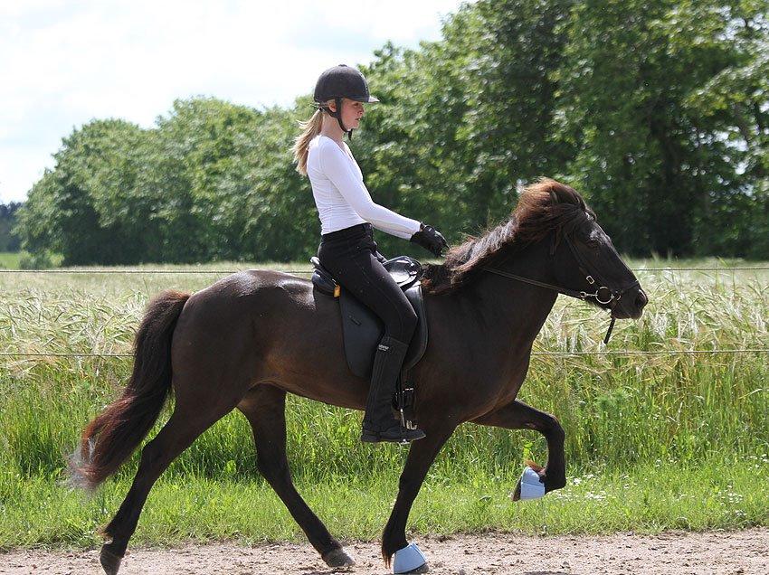 Mit første islænder stævne billede 11