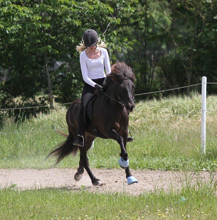 Mit første islænder stævne billede 12