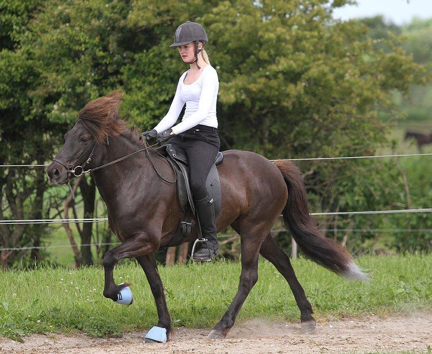 Mit første islænder stævne billede 13