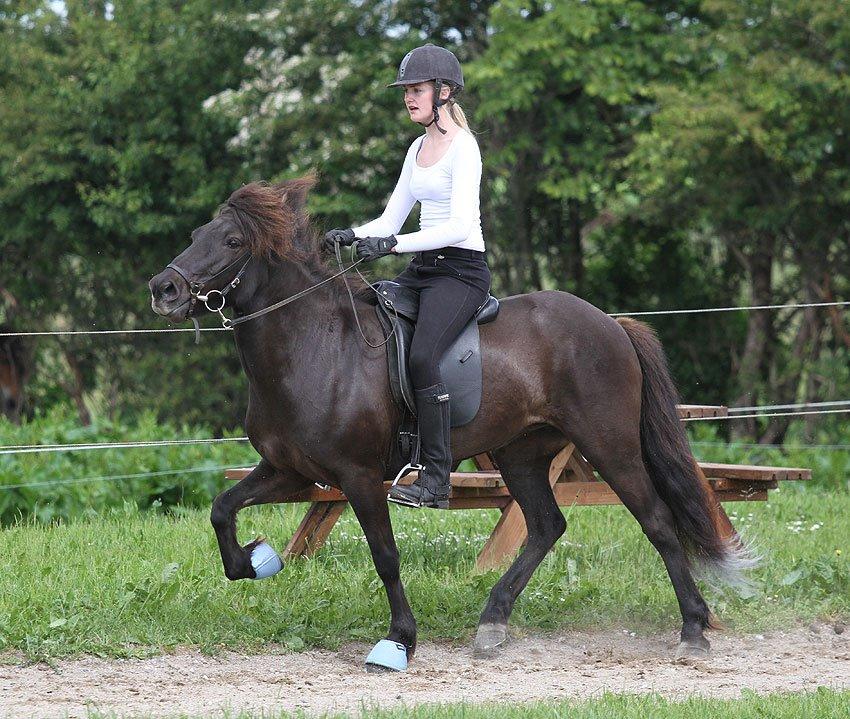 Mit første islænder stævne billede 14