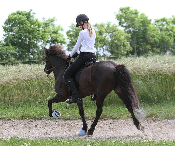 Mit første islænder stævne billede 15