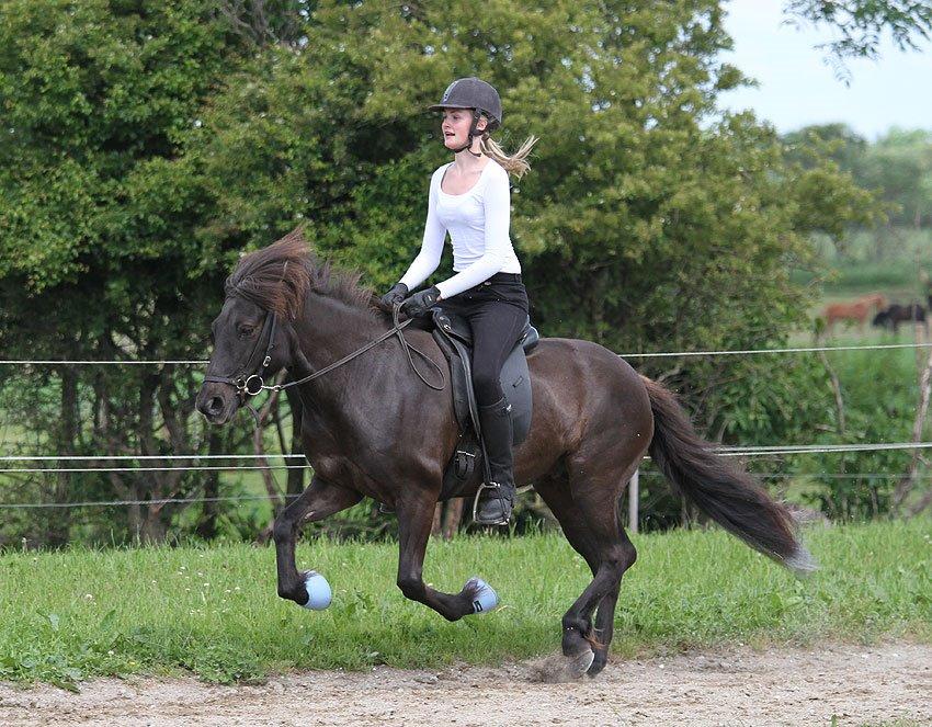 Mit første islænder stævne billede 16