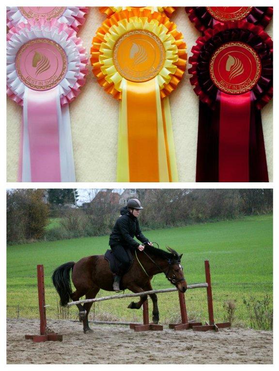 Alle mine rosetter ;) - *rød roset* Januar 2015, 5. plads ud af 5 i klassen Bedste Failbillede: Springningen ER en svær kunst erfarer denne pony! Men den prøver da Humørikonet smile Fin komposition, lidt mindre dybdeskarphed ville være ønskeligt og farverne kunne også være lidt mere spændende – men det kan jo være svært i den danske vinter! Alt i alt et fint billede. billede 4