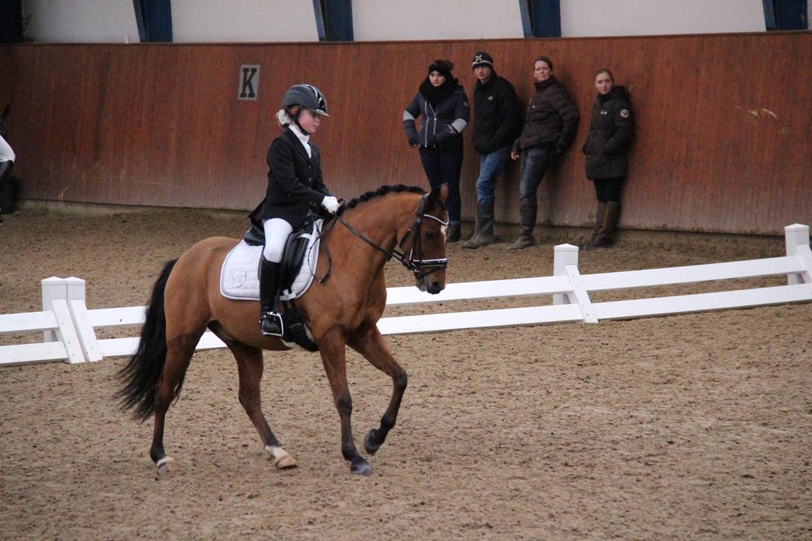 Rosenkilde Gods Cup 3 afdeling: Freja og Dimitri billede 12