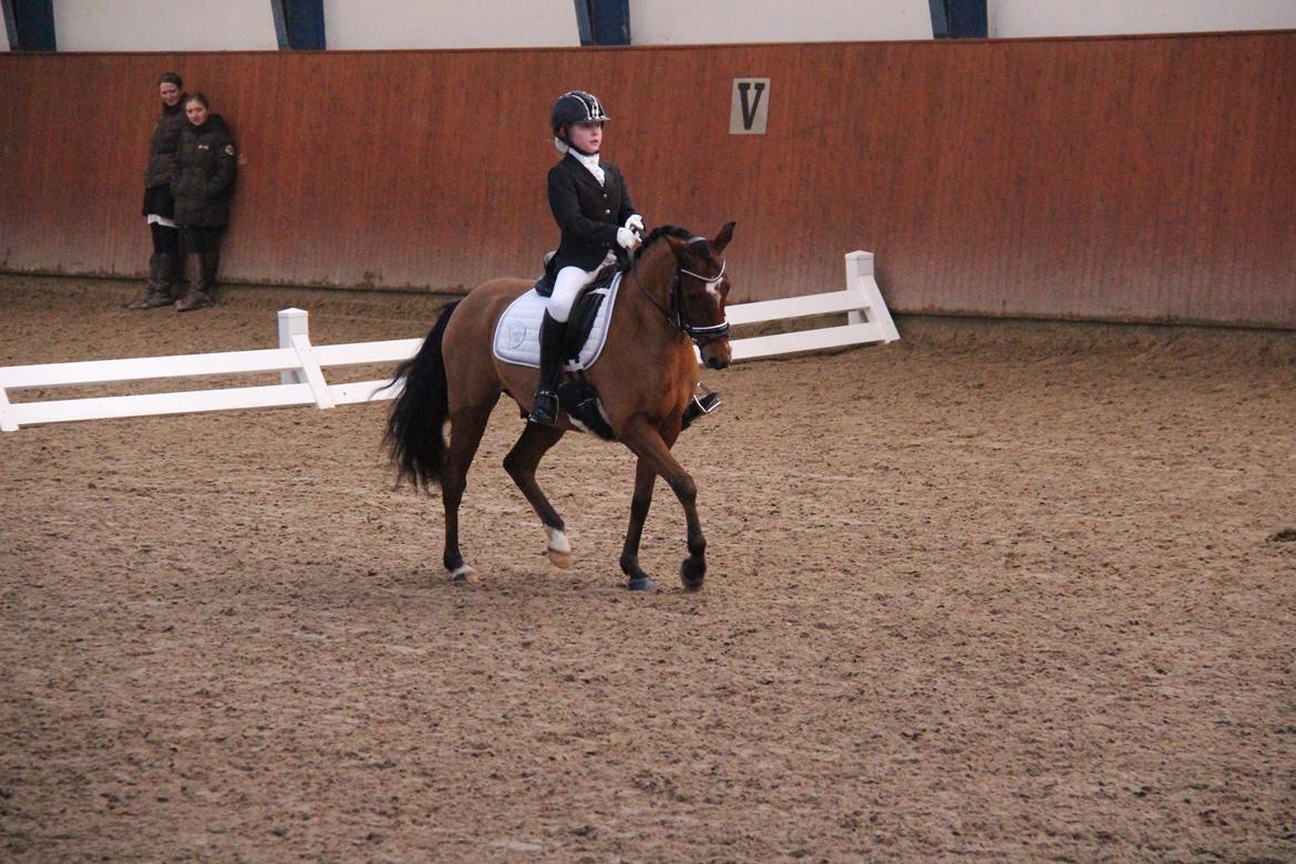 Rosenkilde Gods Cup 3 afdeling: Freja og Dimitri billede 4