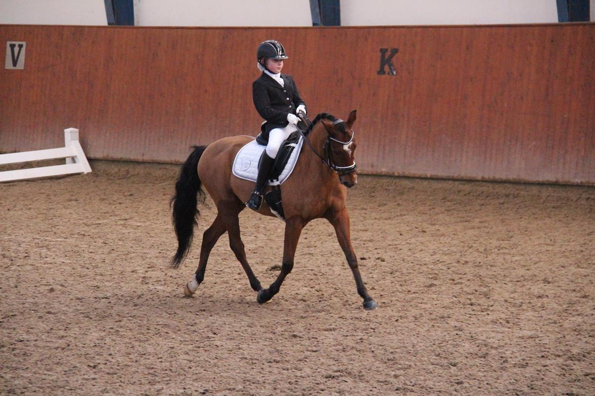 Rosenkilde Gods Cup 3 afdeling: Freja og Dimitri billede 6