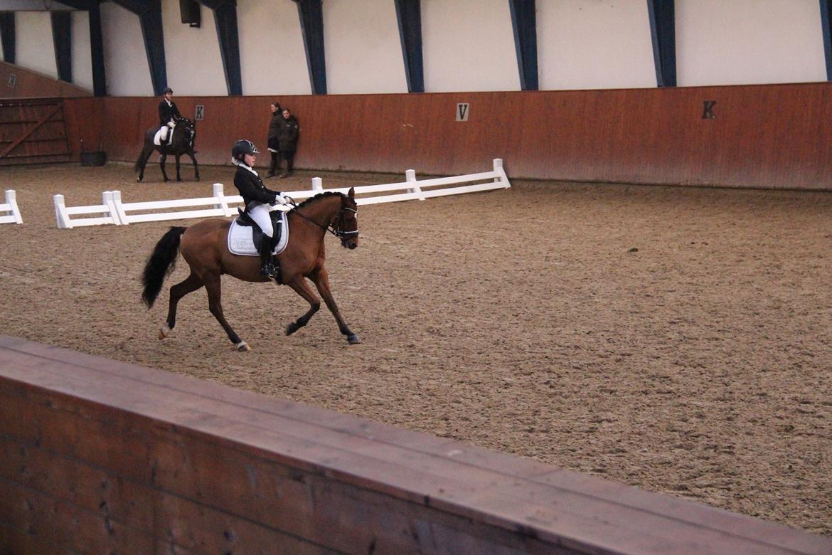 Rosenkilde Gods Cup 3 afdeling: Freja og Dimitri billede 7