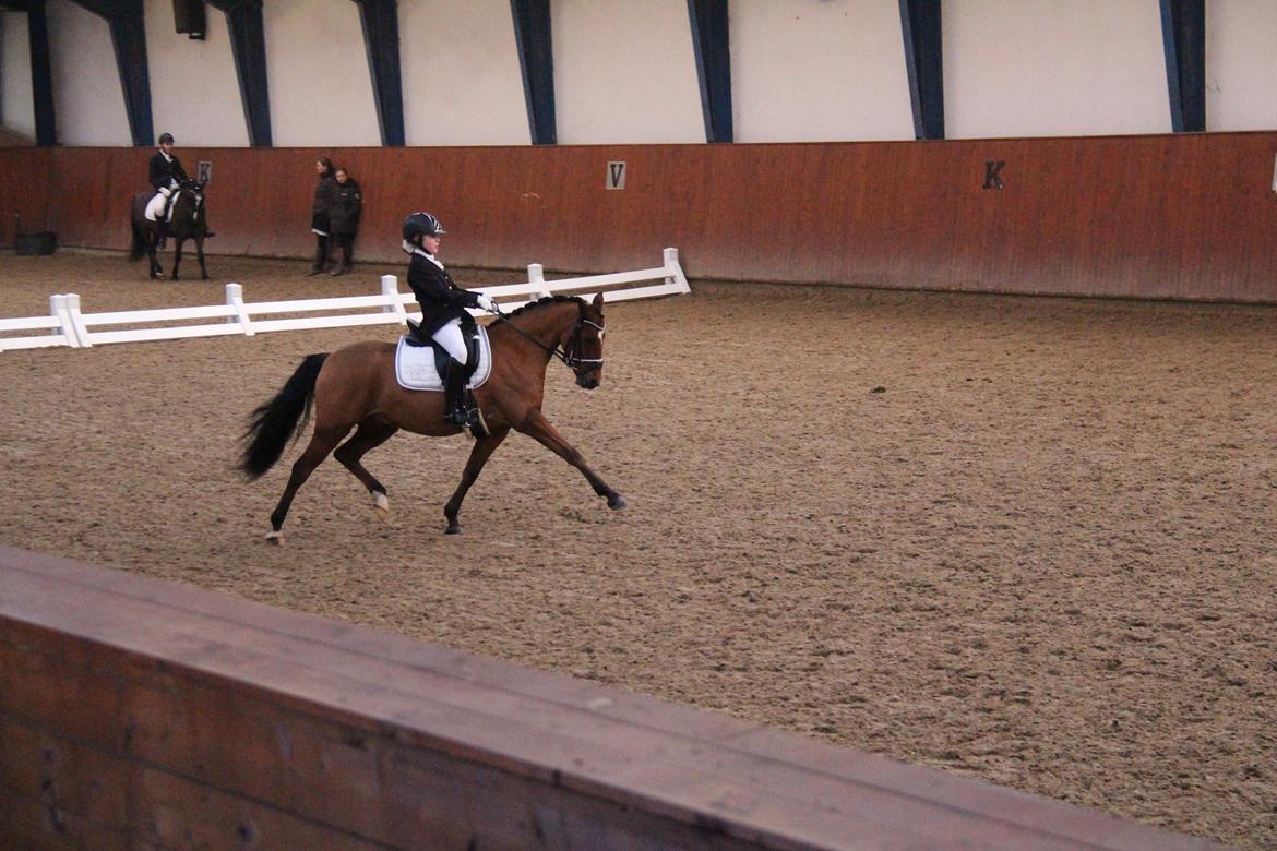 Rosenkilde Gods Cup 3 afdeling: Freja og Dimitri billede 8