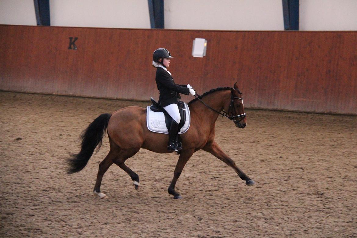 Rosenkilde Gods Cup 3 afdeling: Freja og Dimitri billede 9