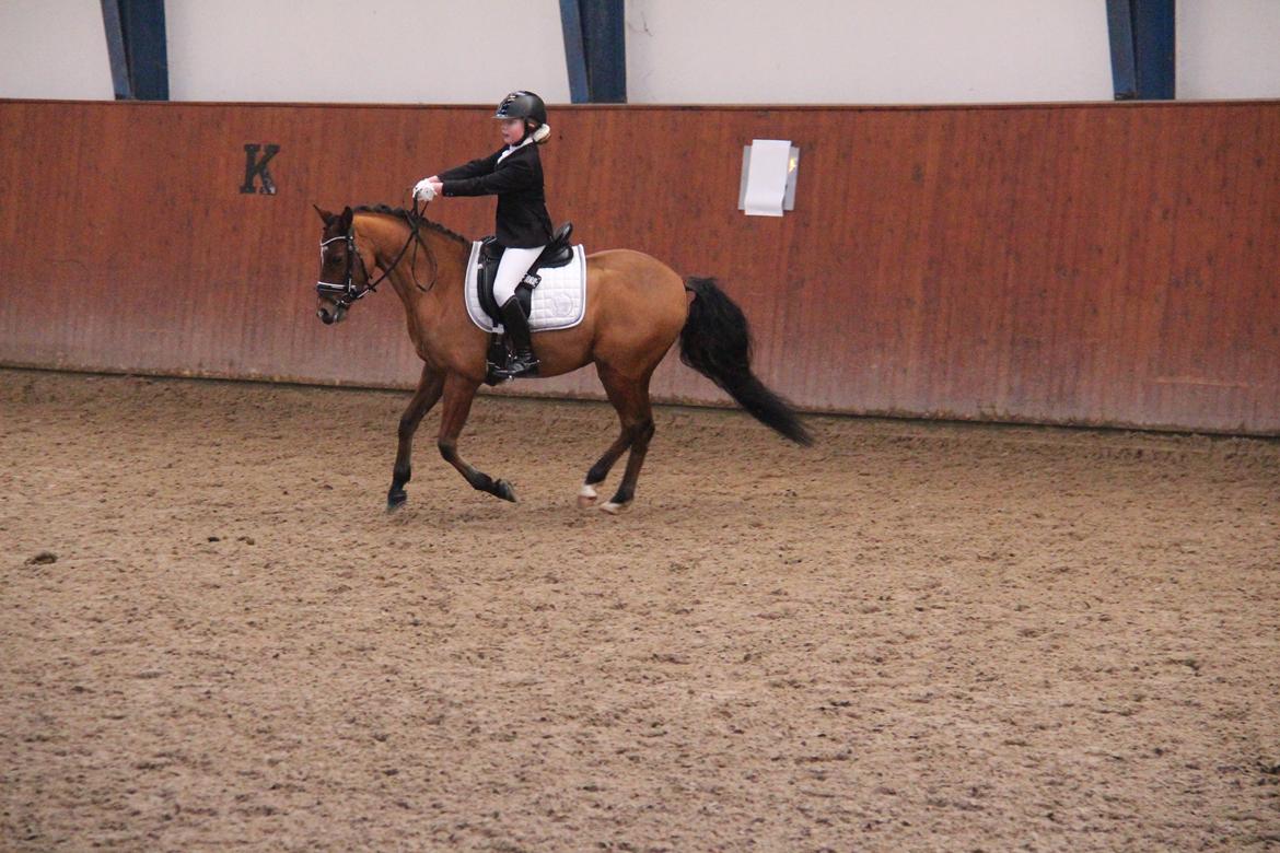 Rosenkilde Gods Cup 3 afdeling: Freja og Dimitri billede 11