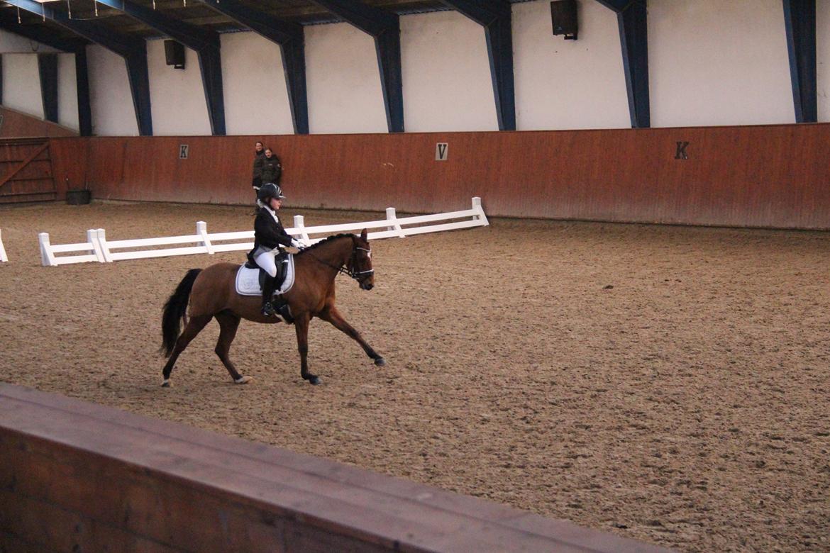 Rosenkilde Gods Cup 3 afdeling: Freja og Dimitri billede 13