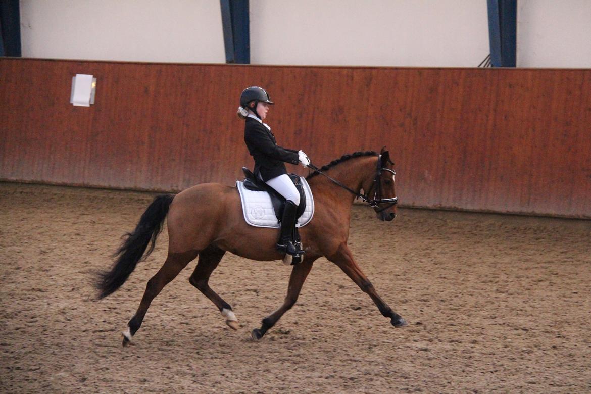 Rosenkilde Gods Cup 3 afdeling: Freja og Dimitri billede 10