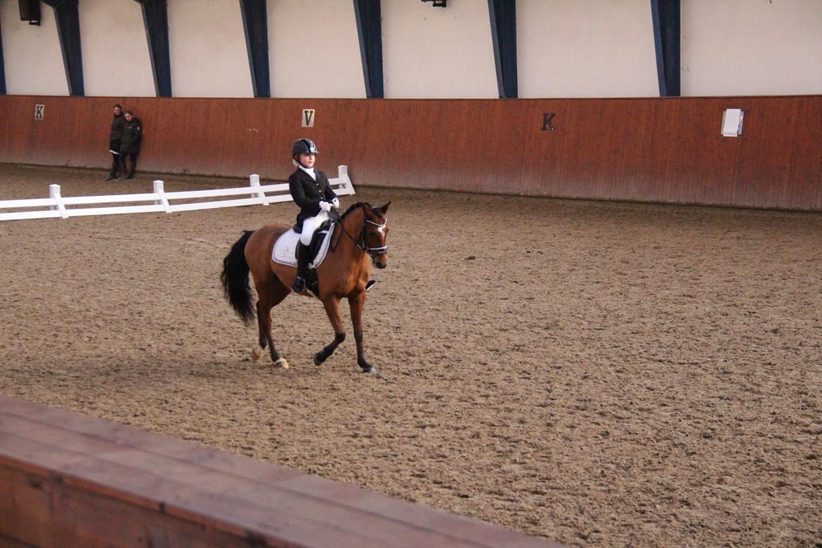 Rosenkilde Gods Cup 3 afdeling: Freja og Dimitri billede 15