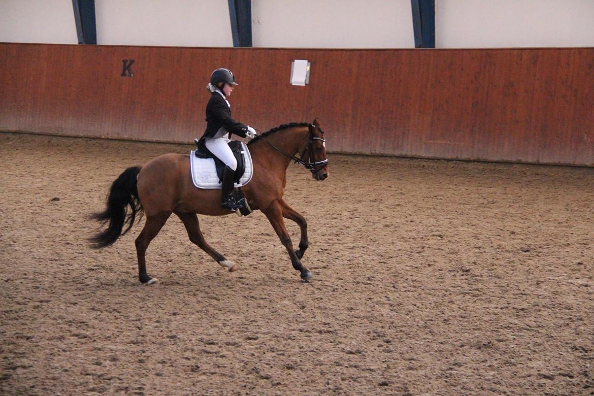 Rosenkilde Gods Cup 3 afdeling: Freja og Dimitri billede 14