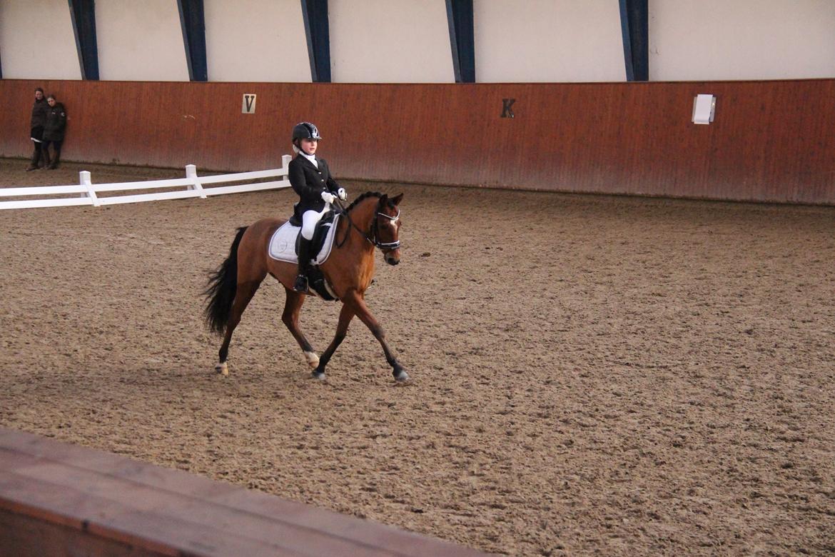 Rosenkilde Gods Cup 3 afdeling: Freja og Dimitri billede 16