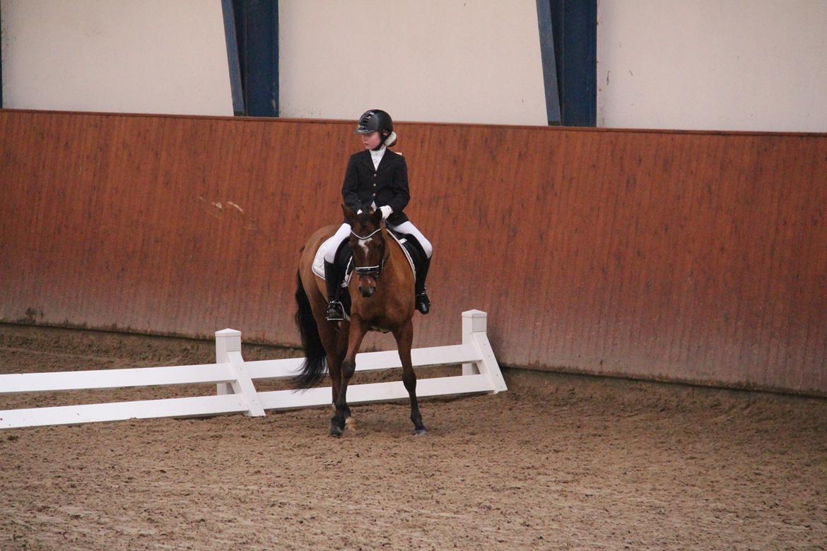 Rosenkilde Gods Cup 3 afdeling: Freja og Dimitri billede 18