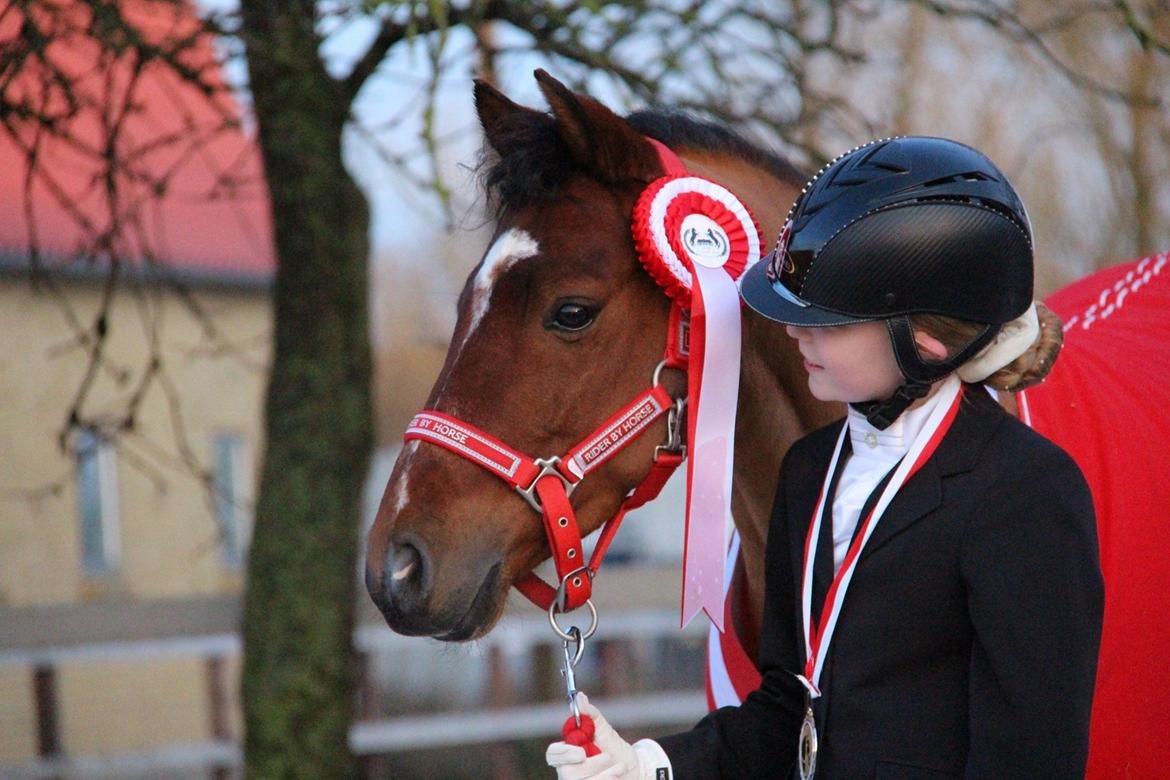 Rosenkilde Gods Cup 3 afdeling: Freja og Dimitri billede 2