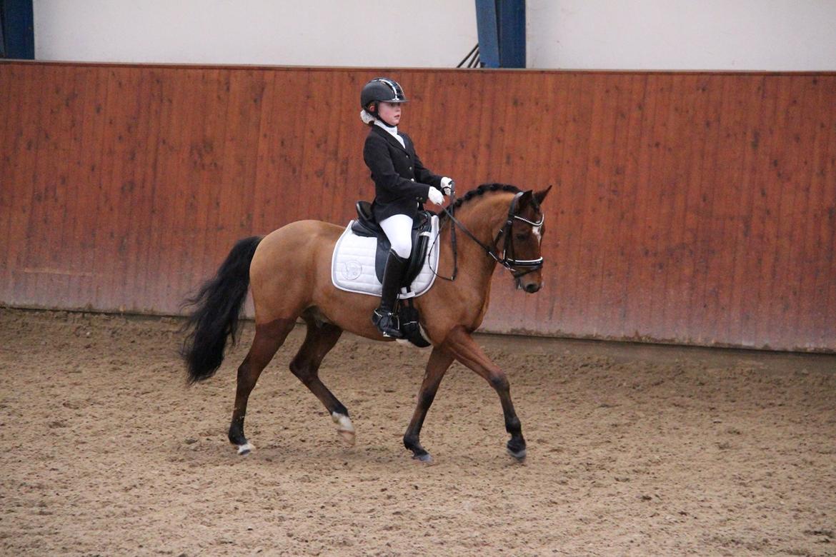 Rosenkilde Gods Cup 3 afdeling: Freja og Dimitri billede 5