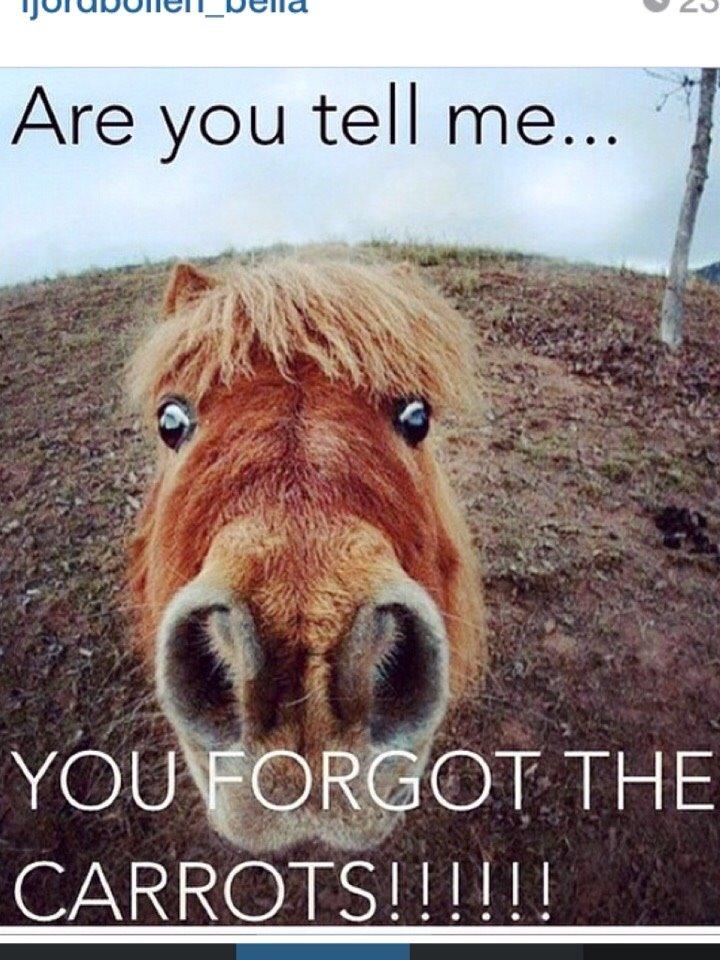 Så nuttet billede 1