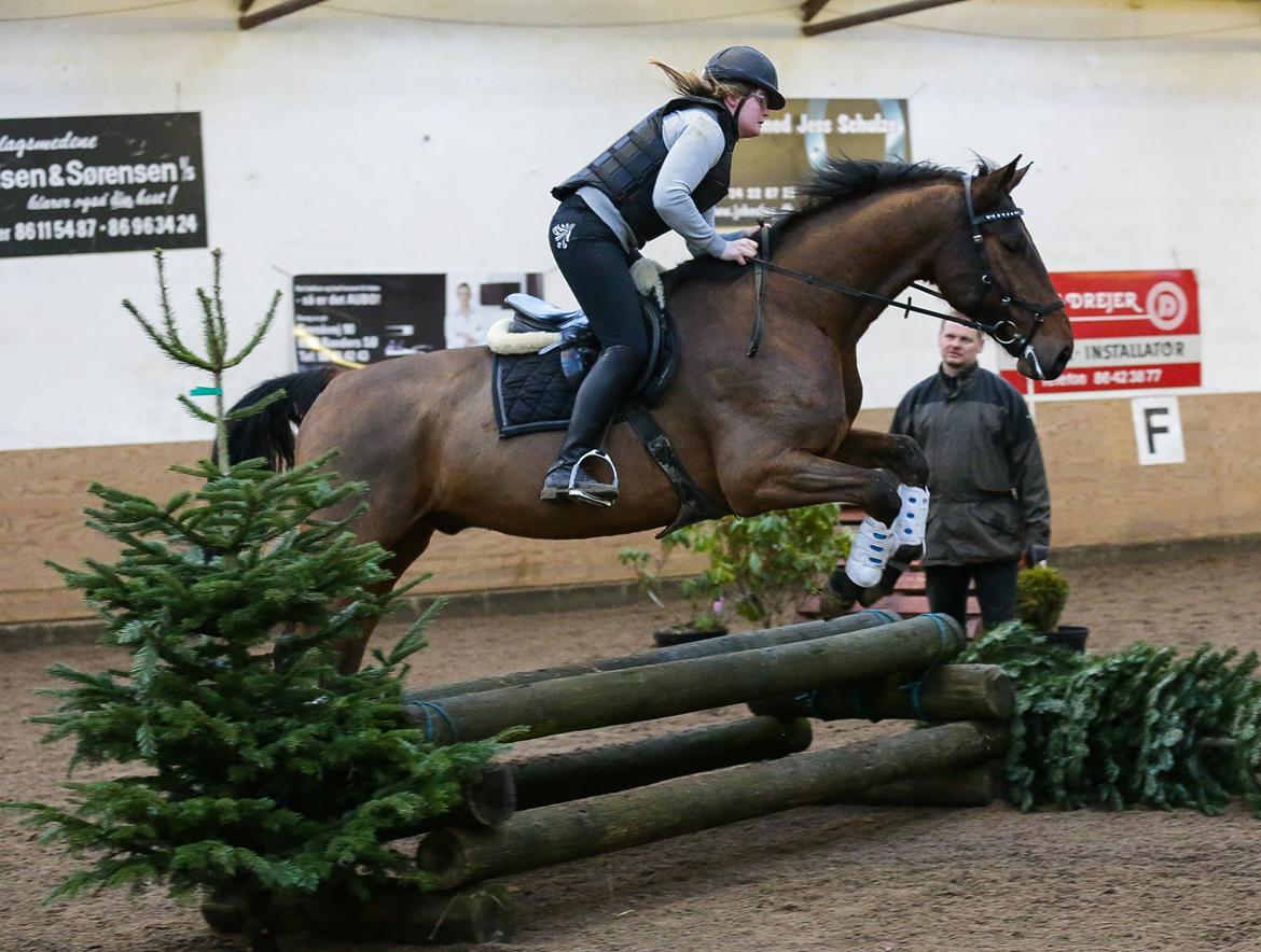 Ture til Randers Legeland billede 1