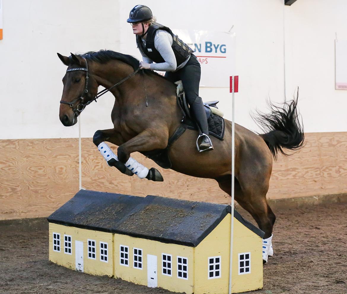 Ture til Randers Legeland billede 3