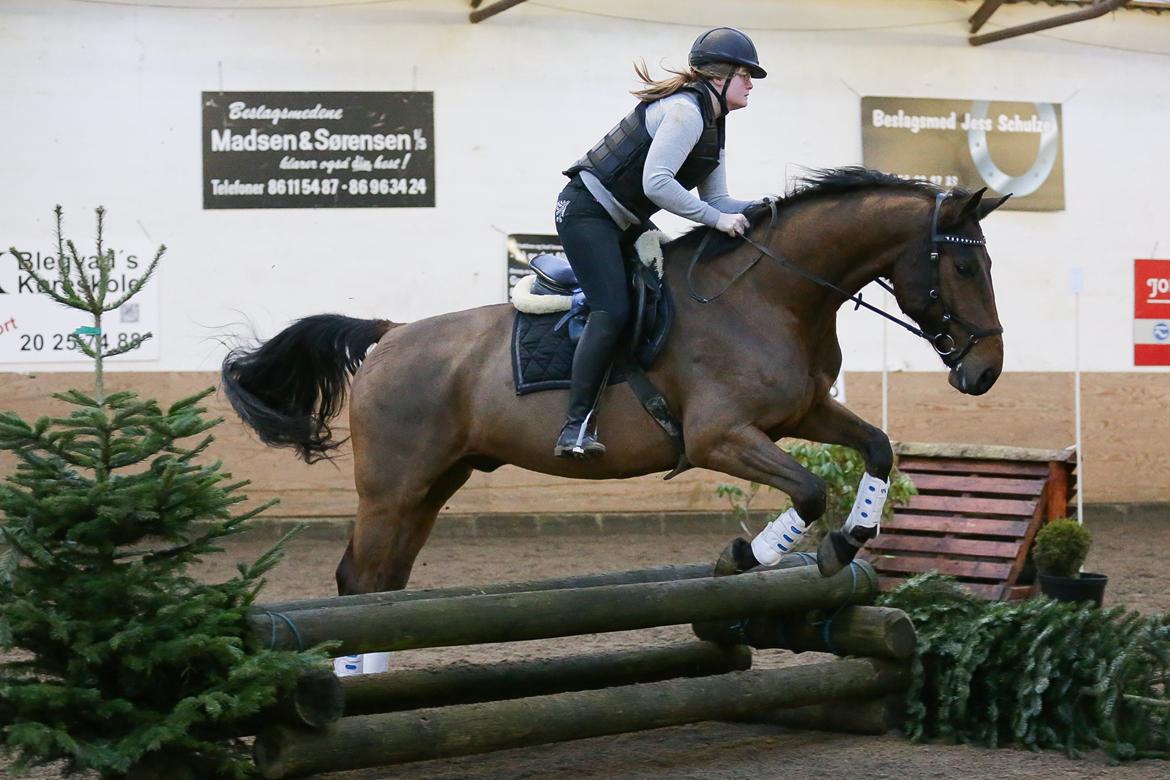 Ture til Randers Legeland billede 4