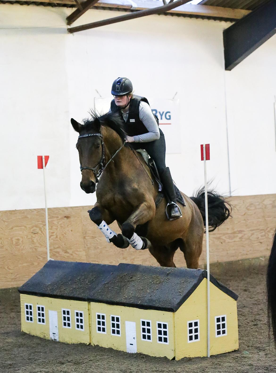 Ture til Randers Legeland billede 7