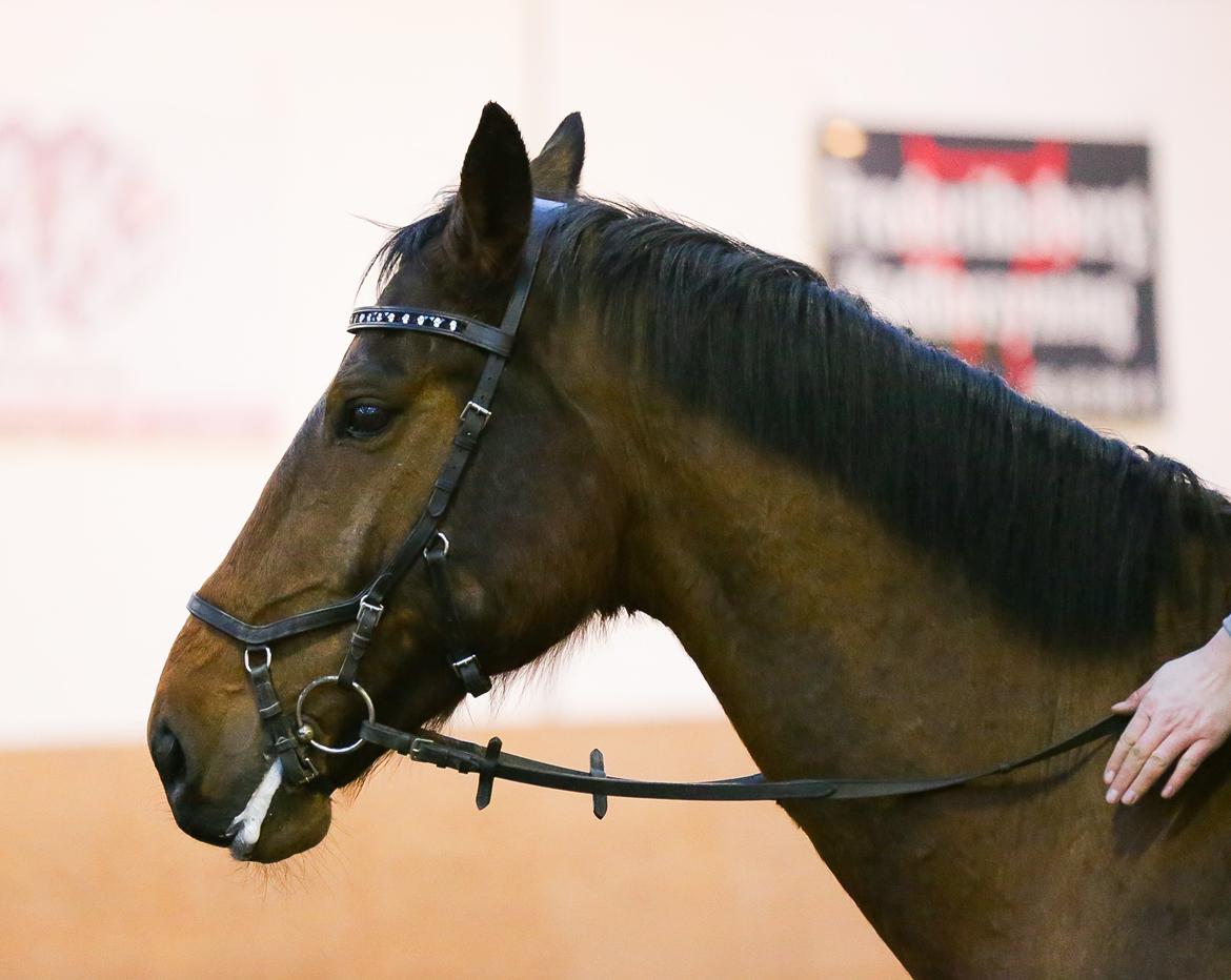 Ture til Randers Legeland billede 5