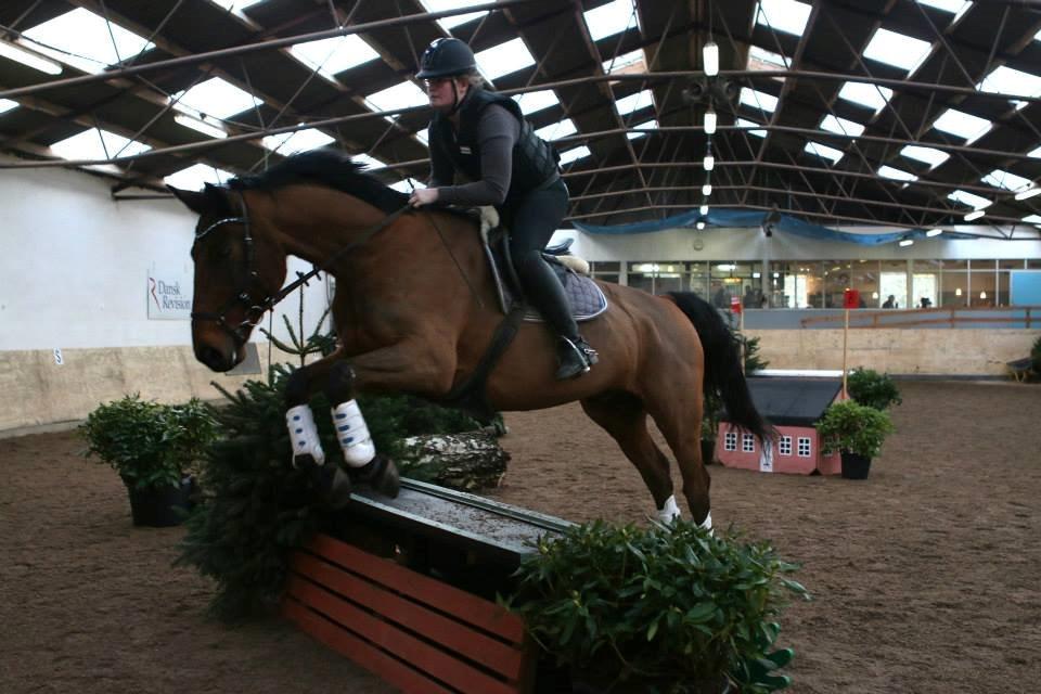 Ture til Randers Legeland billede 8