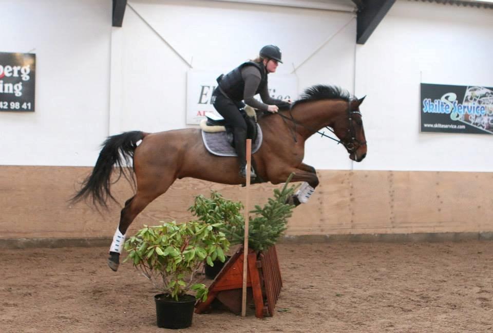 Ture til Randers Legeland billede 10