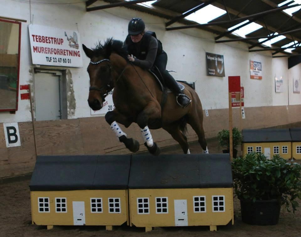 Ture til Randers Legeland billede 9