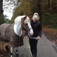 Et sidste farvel!..:'(