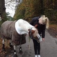 Et sidste farvel!..:'(