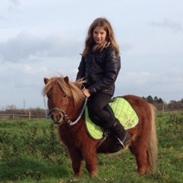 Den lille miniture Odin<3