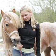 Doryella [tidligere part] [himmelhest]