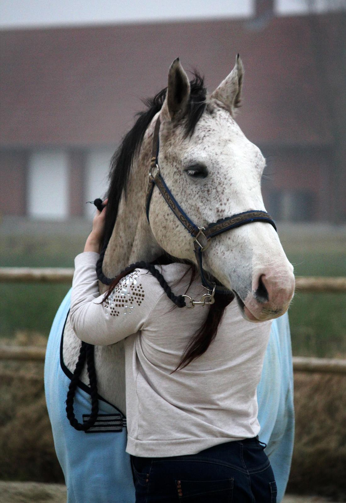 Farvel min elskede Don billede 3