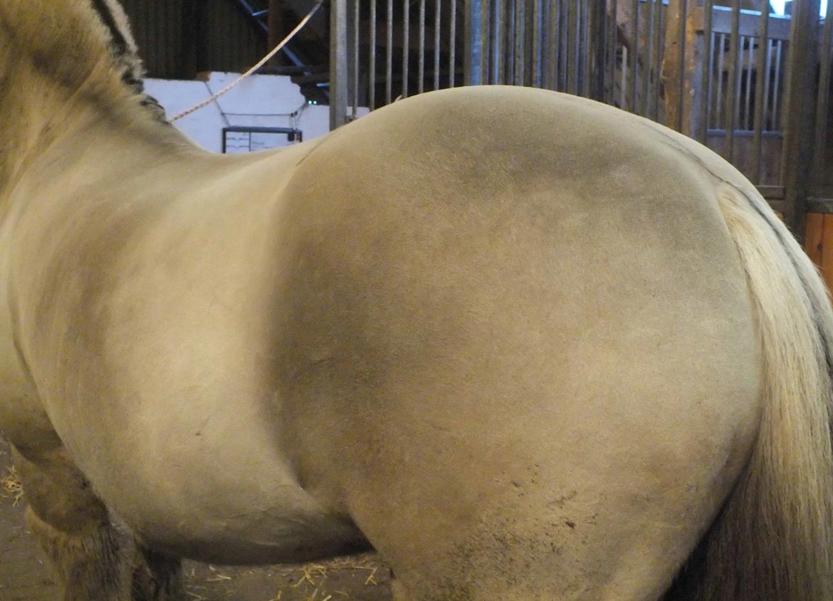 Hulder - på alle kanter og led billede 1